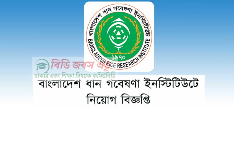 ধান গবেষণা ইনস্টিটিউট নিয়োগ বিজ্ঞপ্তি ২০২৩
