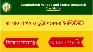 বাংলাদেশ গম ও ভুট্টা গবেষণা ইনস্টিটিউট নিয়োগ ২০২৩